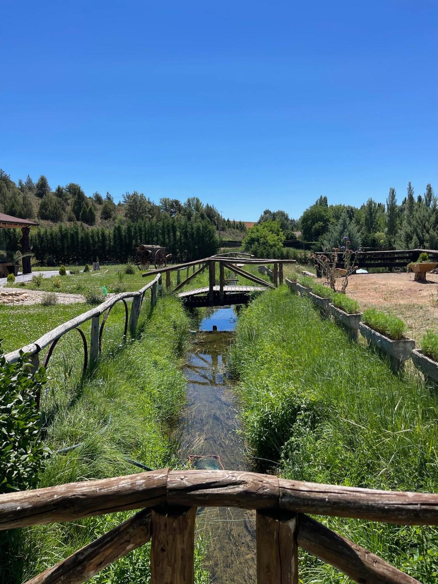 El Burgo De Osma Alojamiento Rural Villa Bagh Екстериор снимка