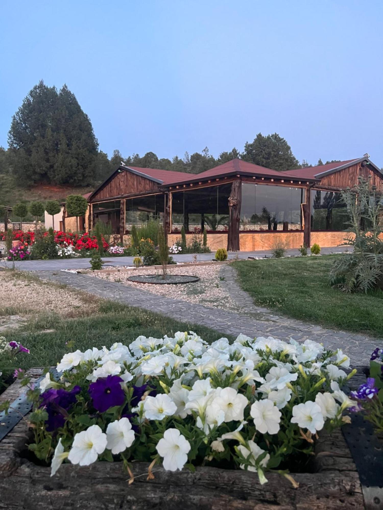 El Burgo De Osma Alojamiento Rural Villa Bagh Екстериор снимка